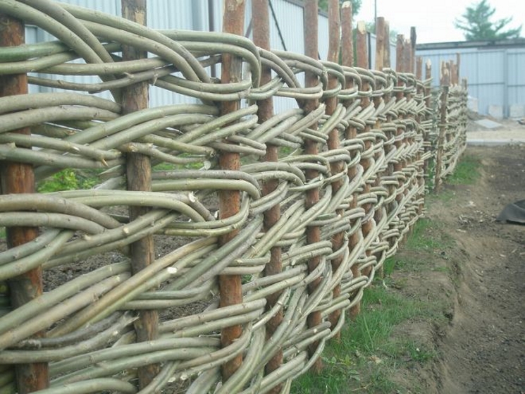Плетеный забор